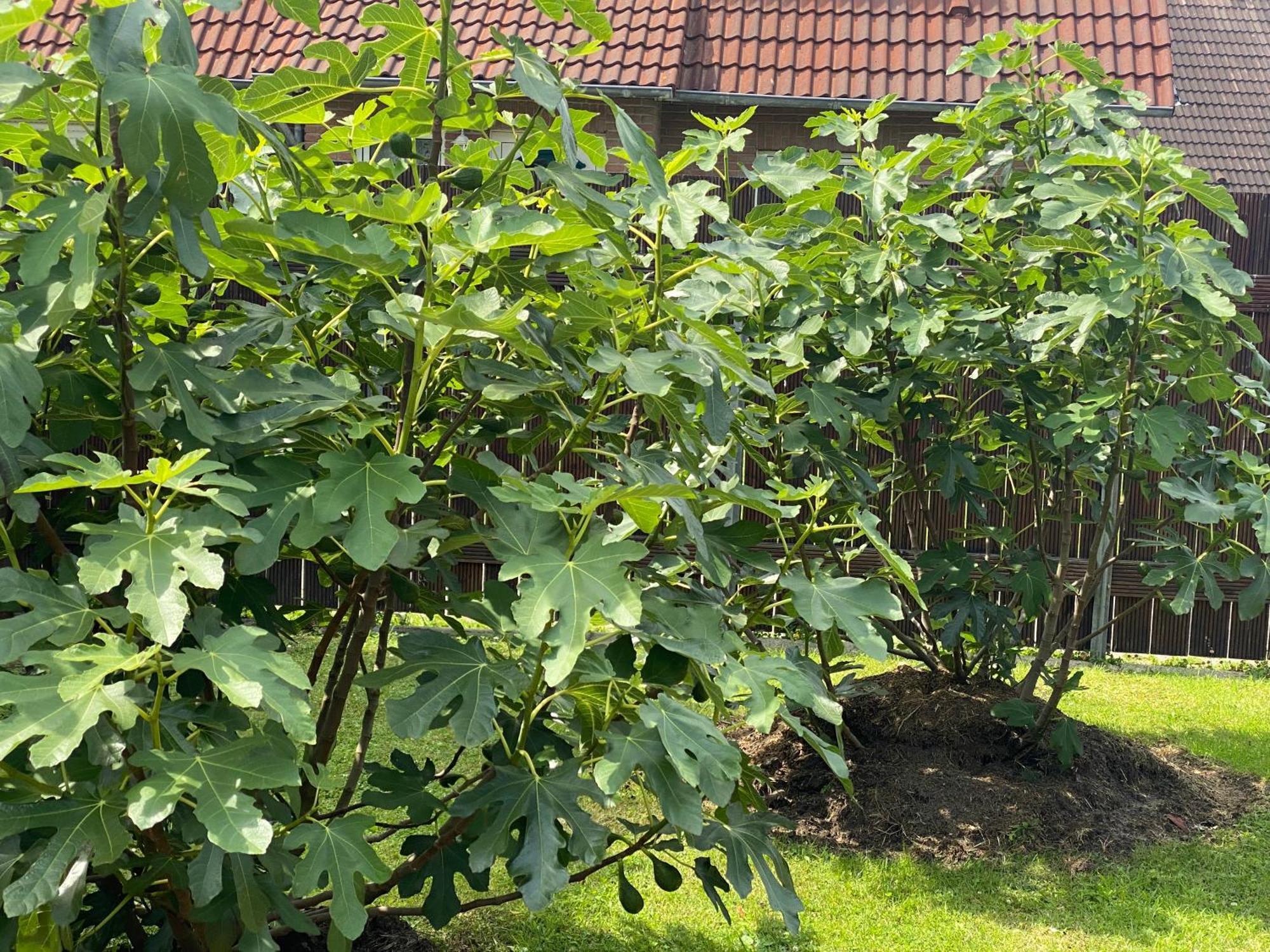 Ferienhaus Ankerweg An Der Seehundstation Norddeich  Exteriör bild